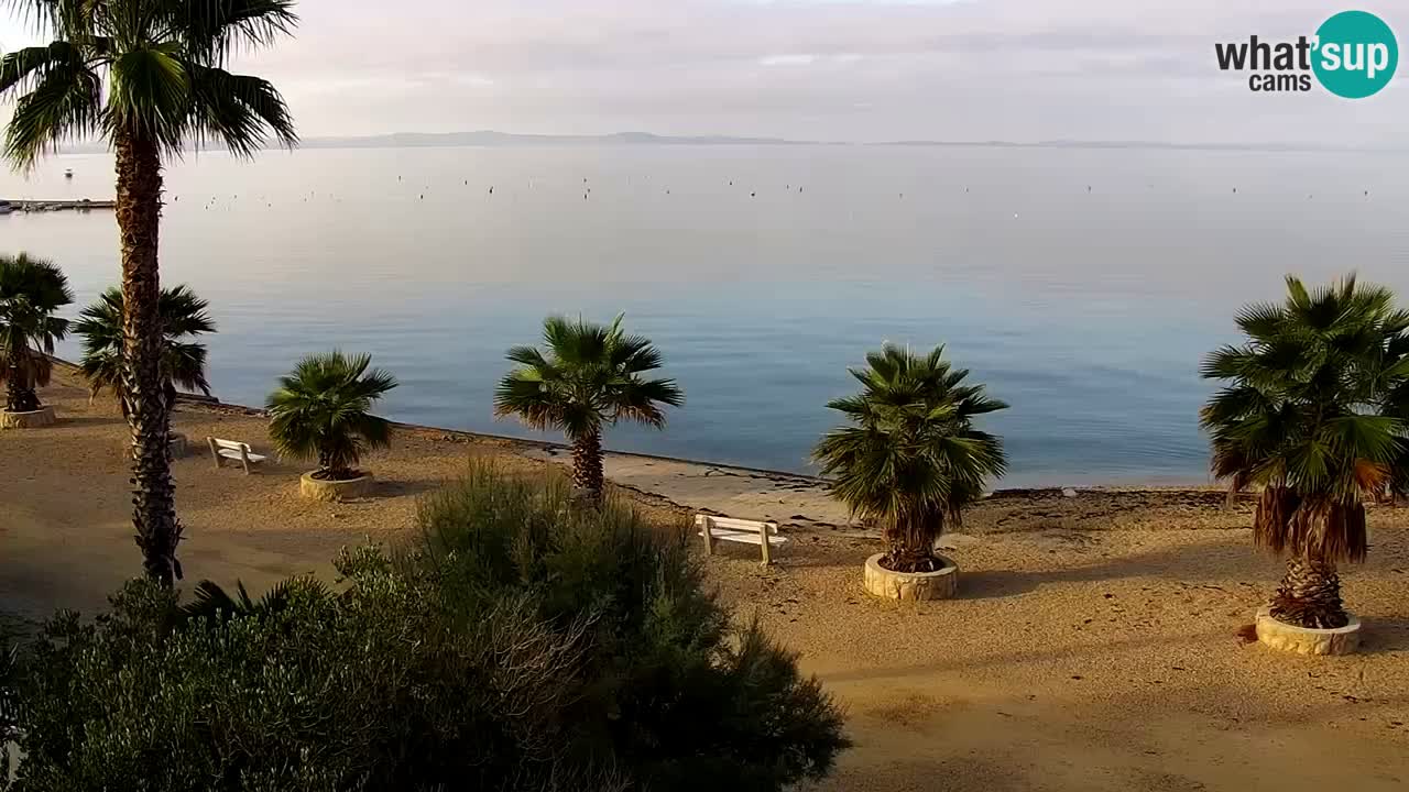 Web kamera Vir – Plaža