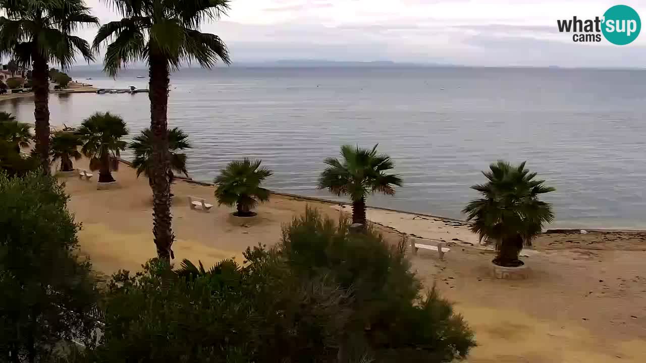 Live cam Vir – Plage