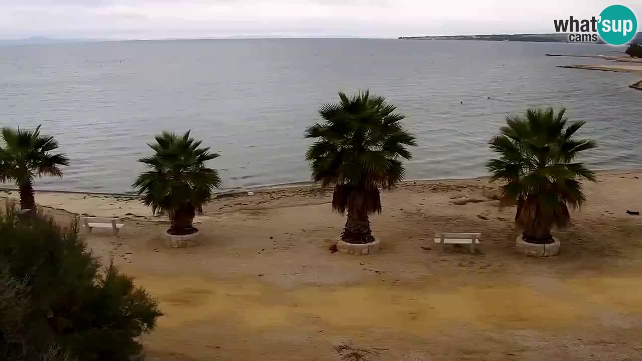 Live cam Vir – Plage