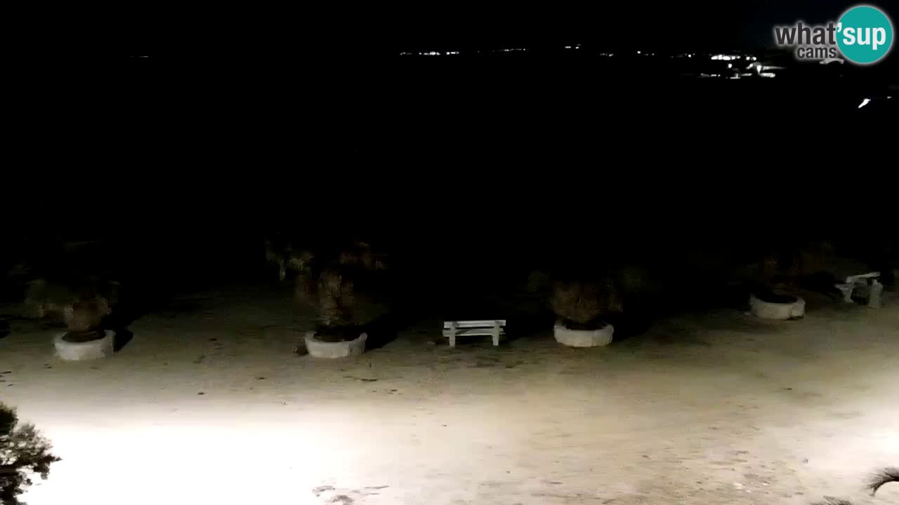 Live cam Vir – Plage