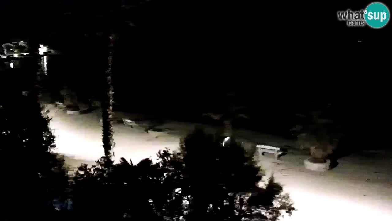 Live cam Vir – Plage