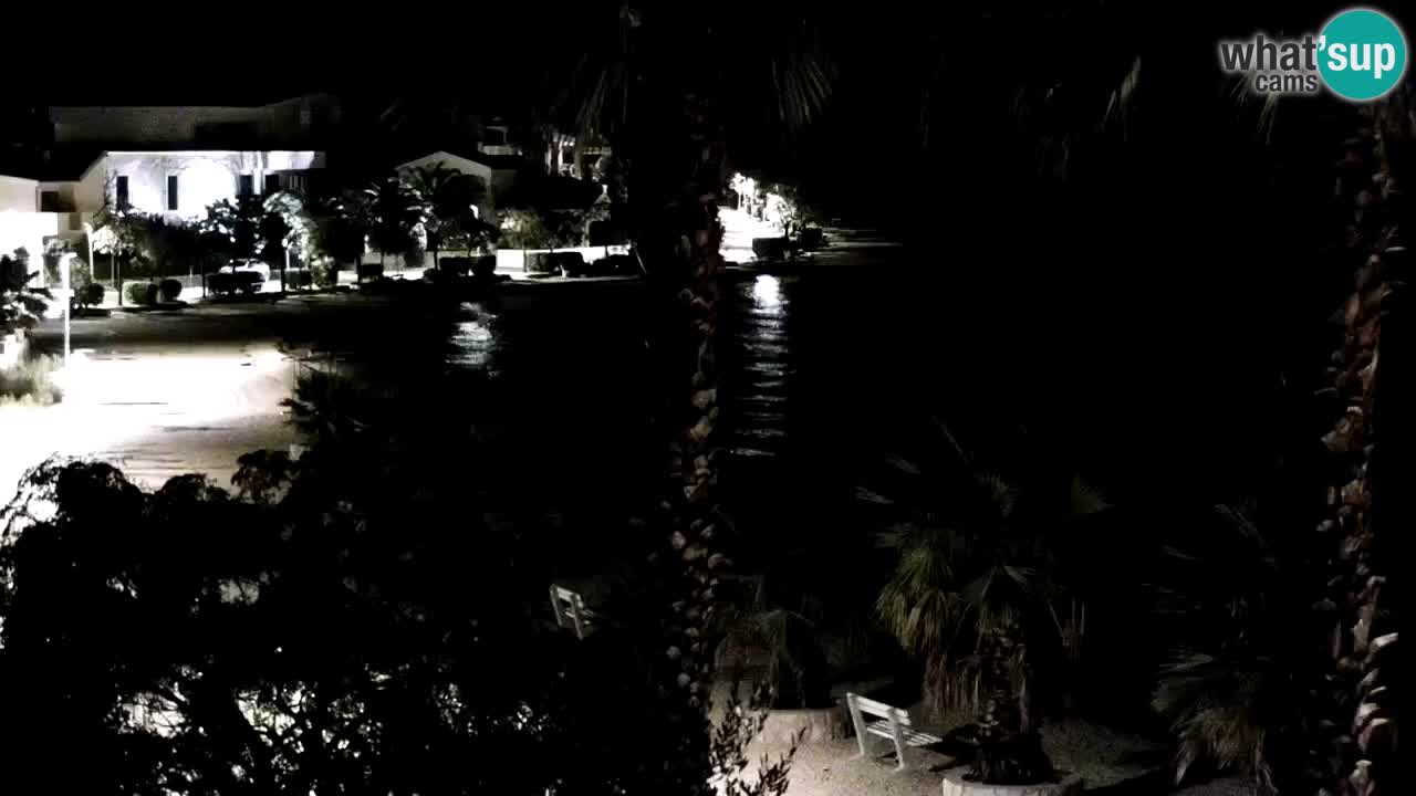 Web kamera Vir – Plaža