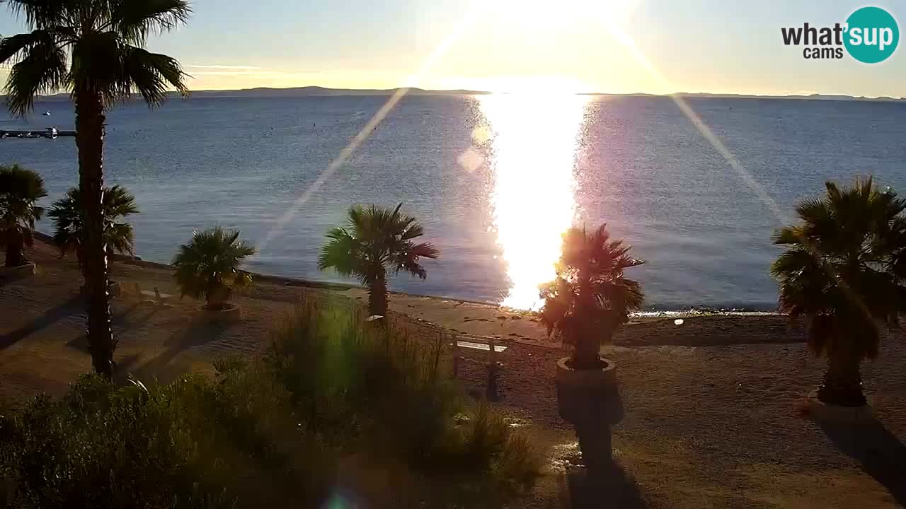 Live cam Vir – Plage