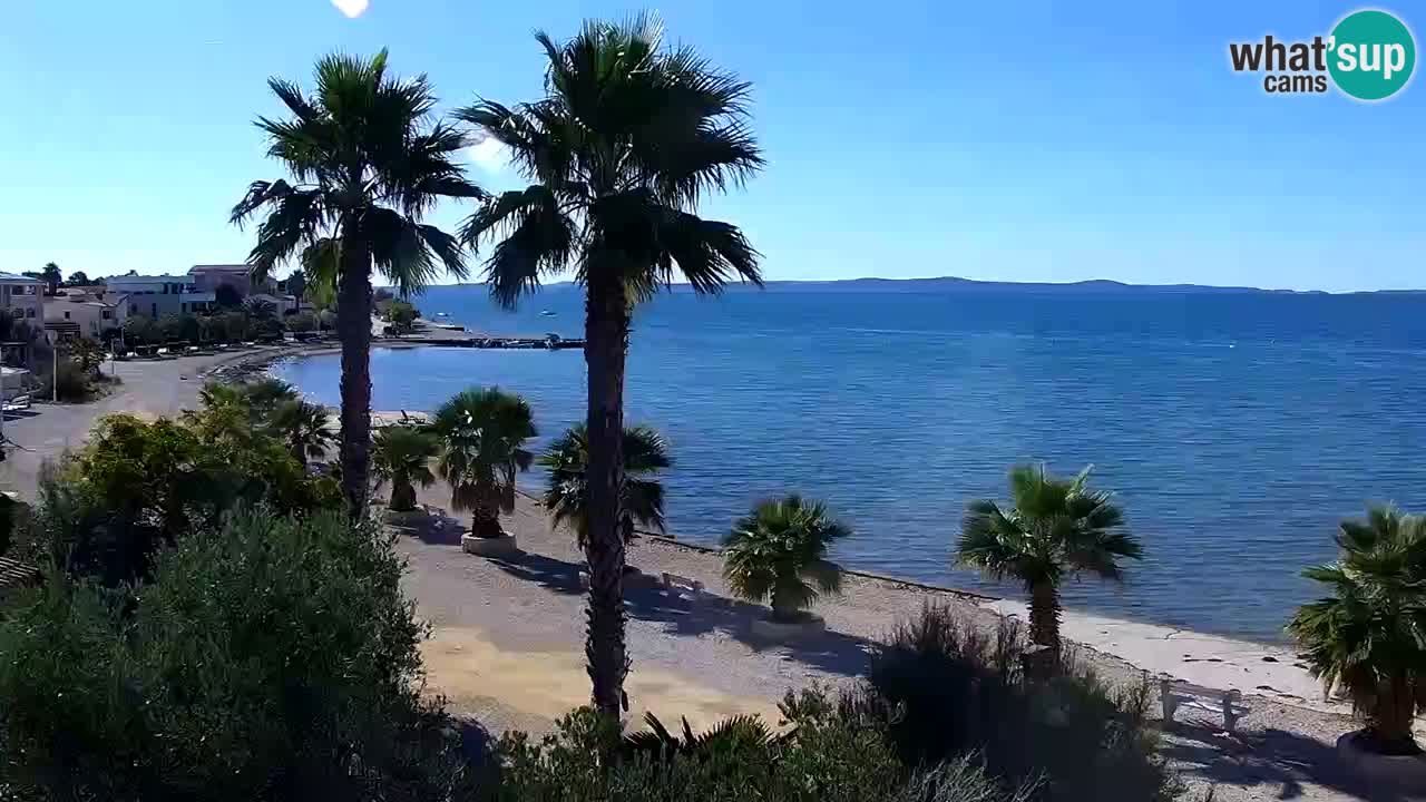 Live cam Vir – Plage