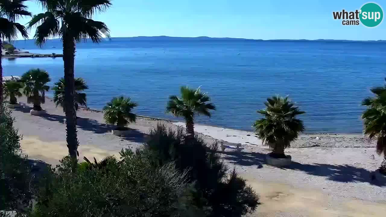 Webcam Vir – Spiaggia