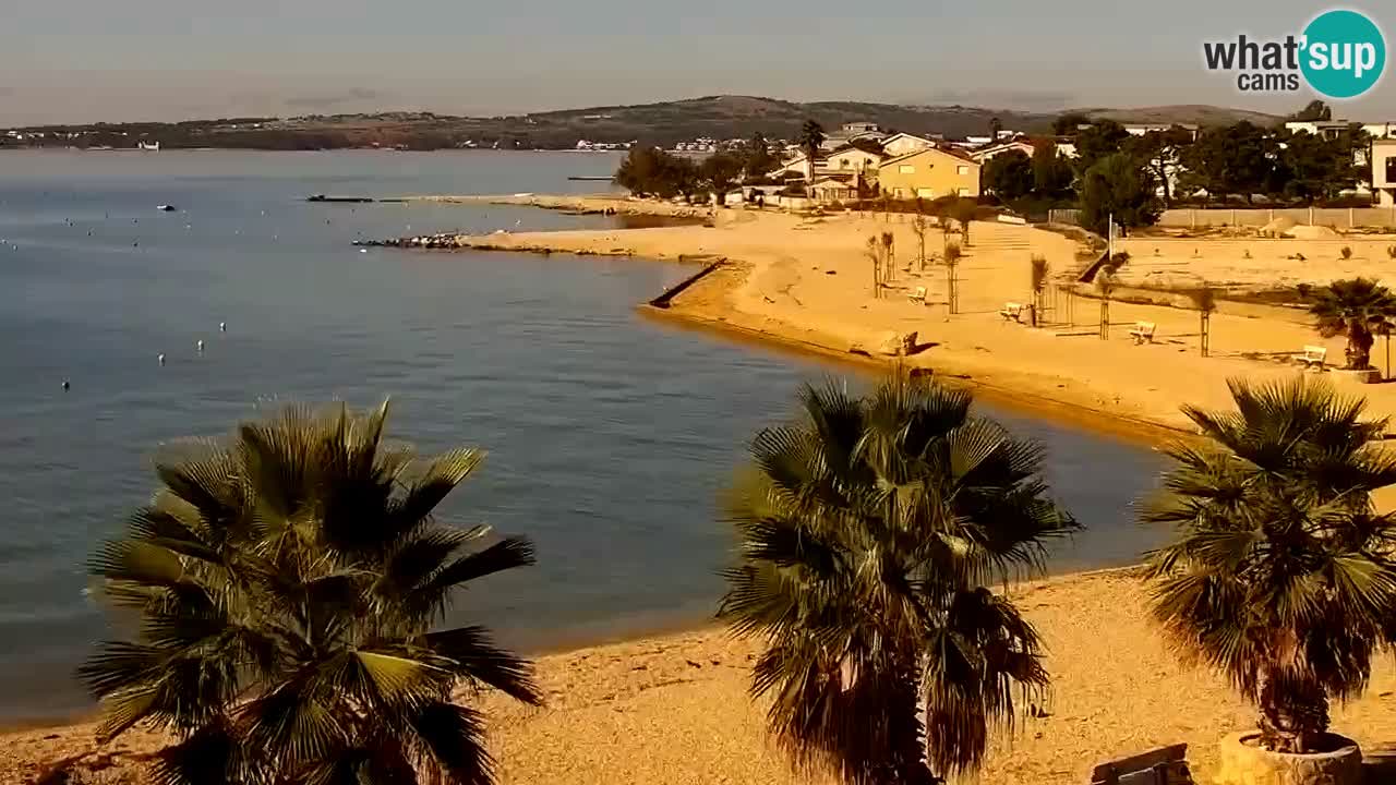 Live cam Vir – Plage