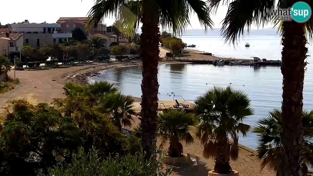 Kamera v živo Vir – Plaža