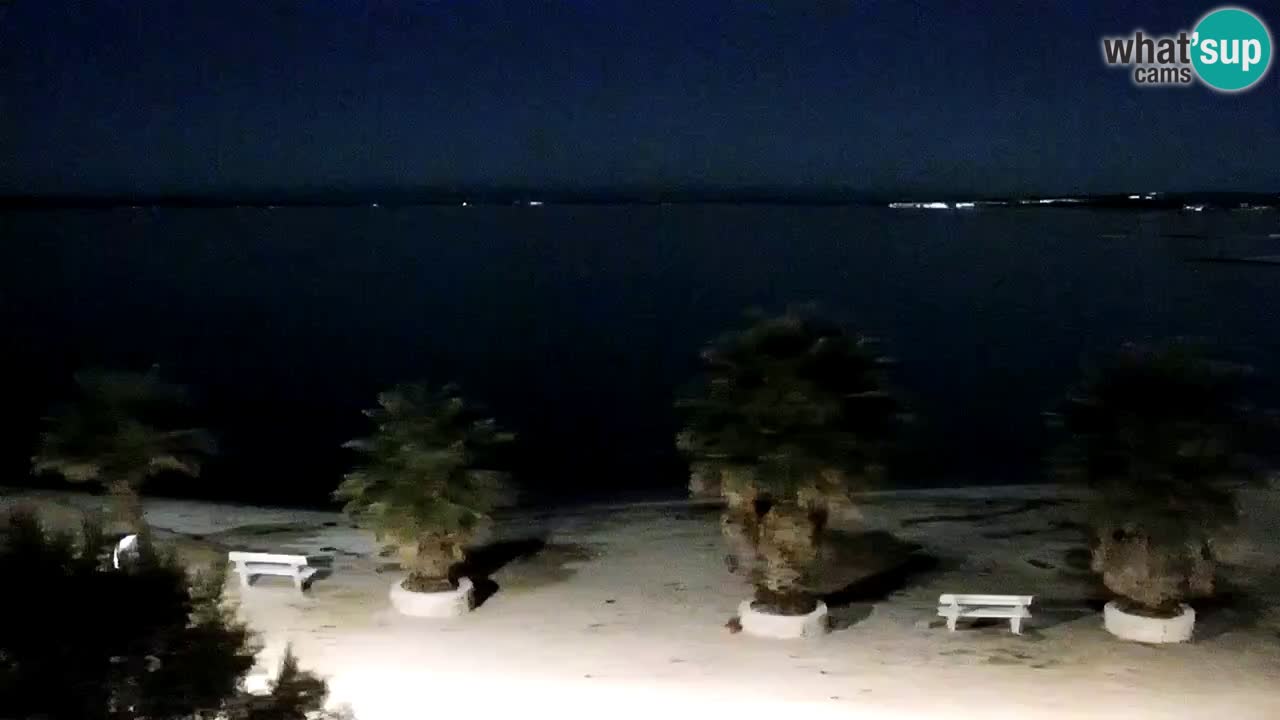 Live cam Vir – Plage