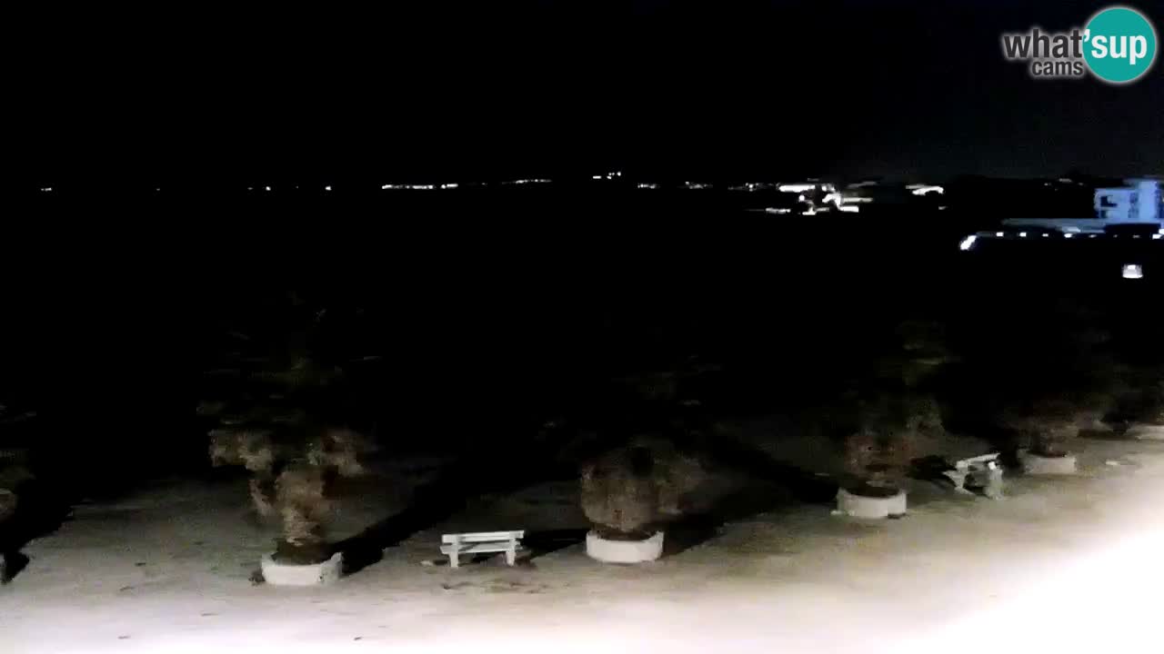 Live cam Vir – Plage