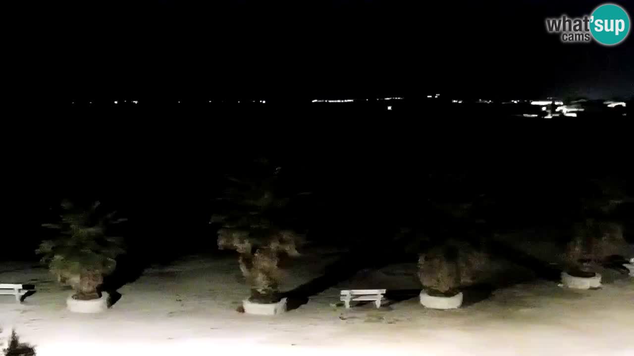 Webcam Vir – Strand