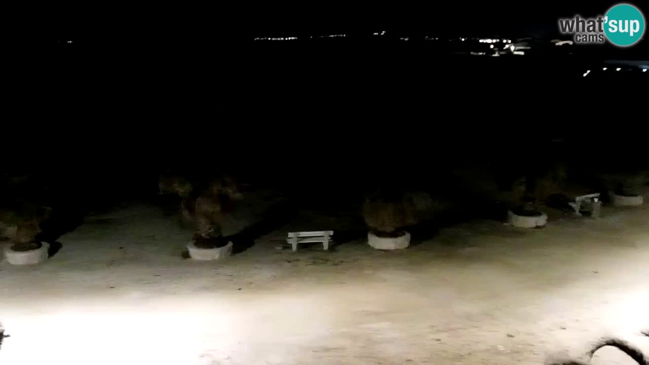 Live cam Vir – Plage