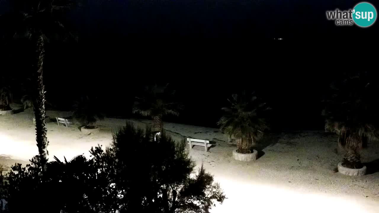 Live cam Vir – Plage