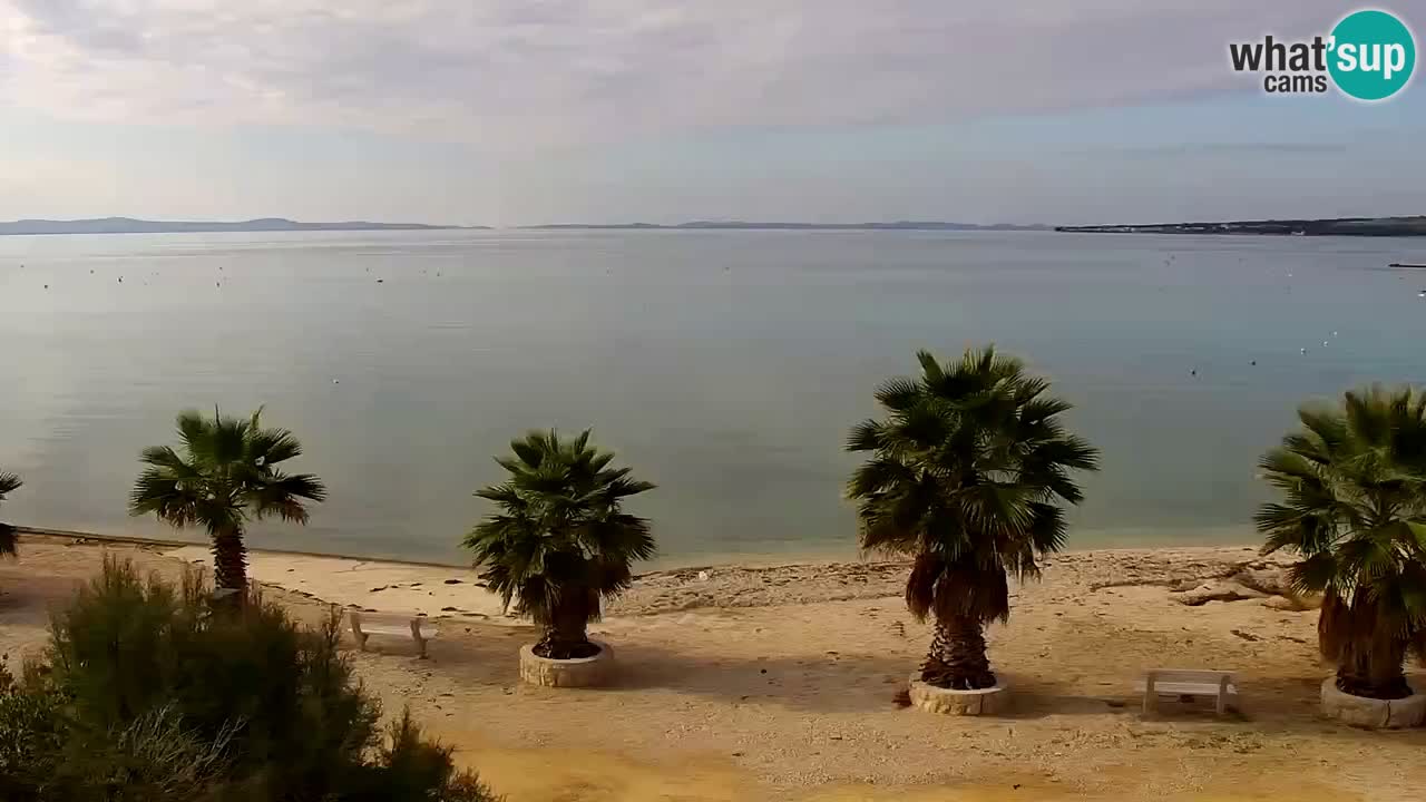 Kamera v živo Vir – Plaža