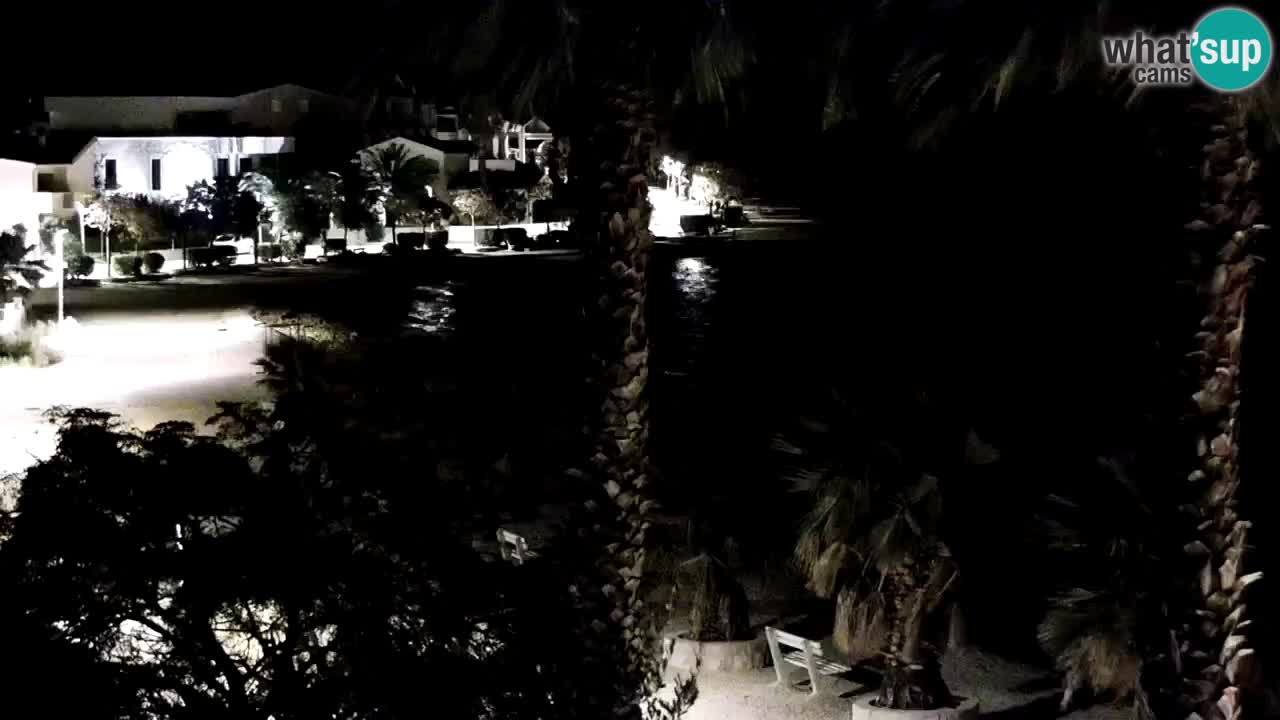 Live cam Vir – Plage