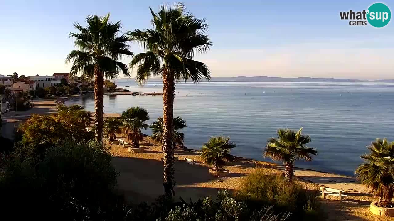 Live cam Vir – Plage