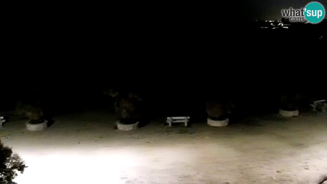 Live cam Vir – Plage