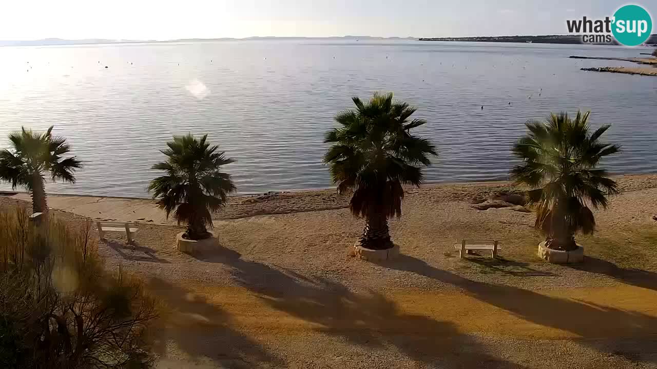 Web kamera Vir – Plaža