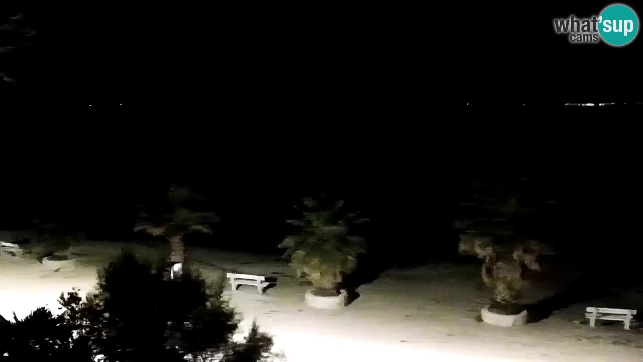 Live cam Vir – Plage