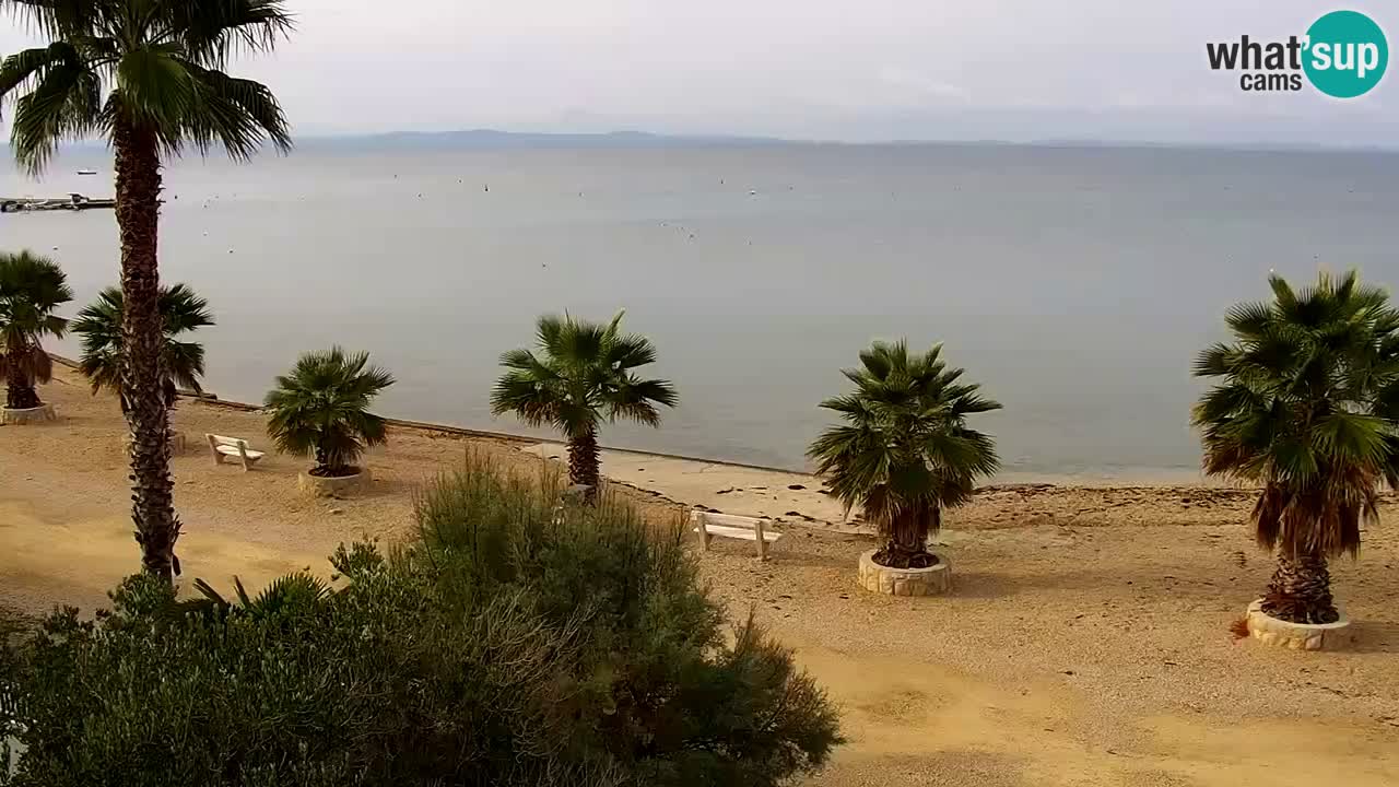 Live cam Vir – Plage