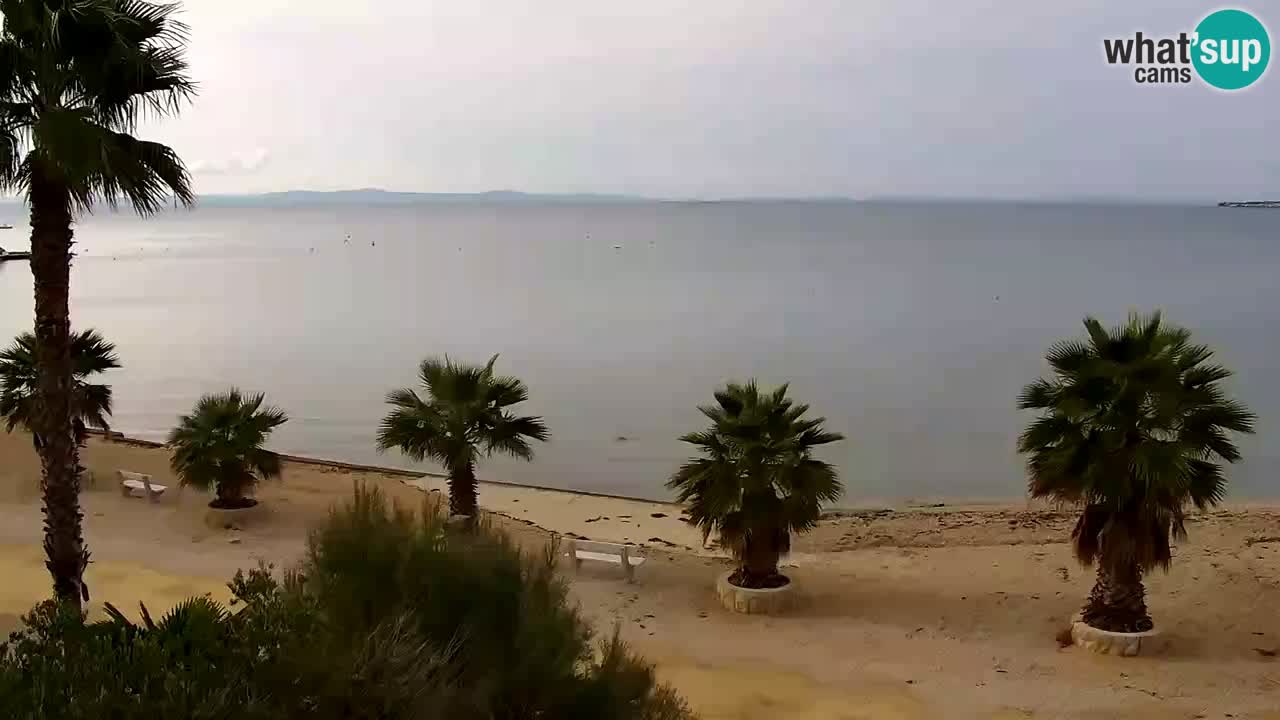 Live cam Vir – Plage