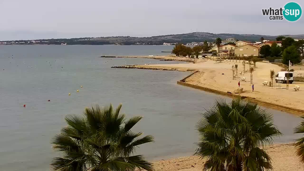 Live cam Vir – Plage