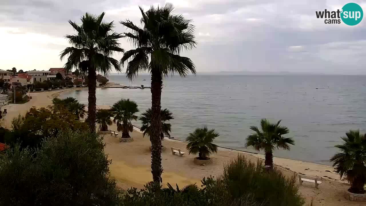 Live cam Vir – Plage