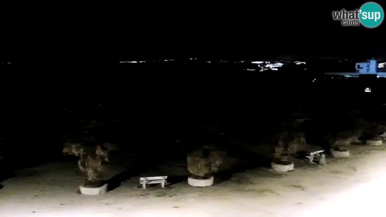 Live cam Vir – Plage