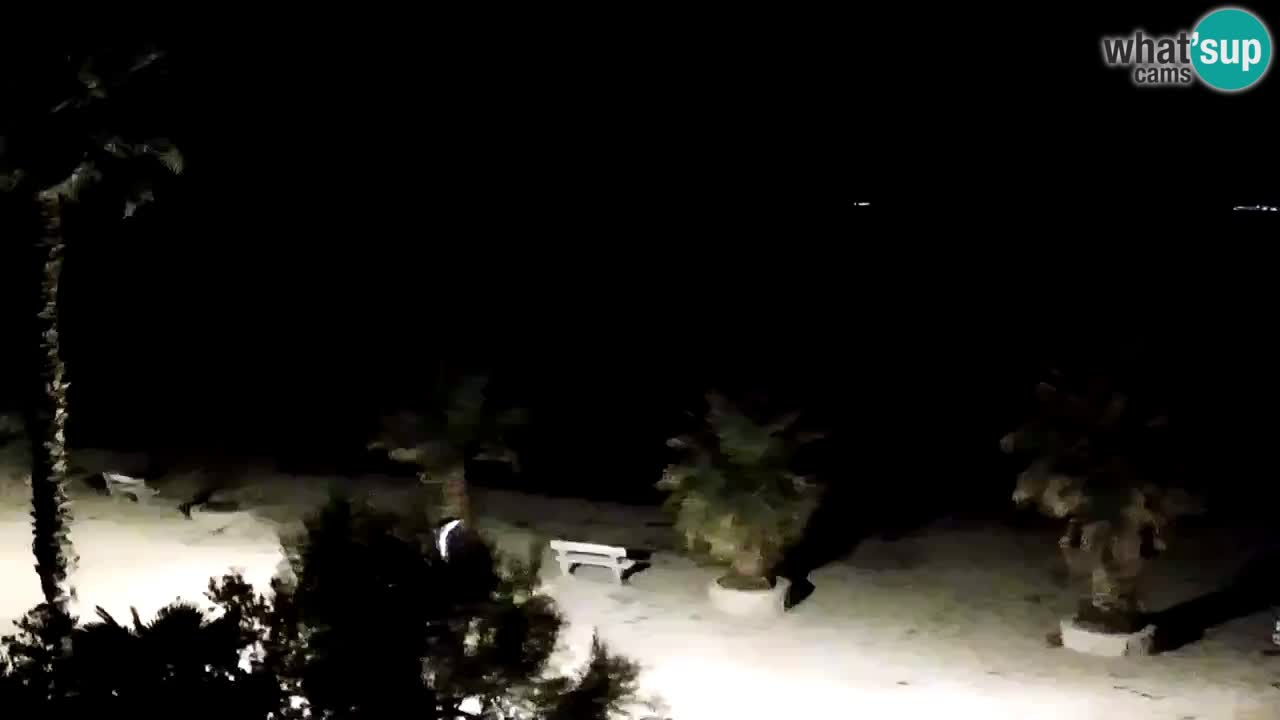 Webcam Vir – Strand