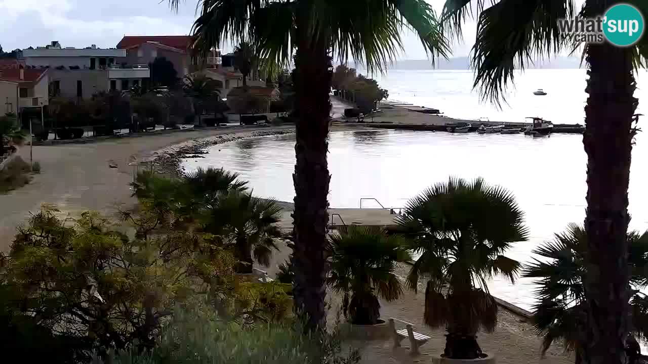 Live cam Vir – Plage