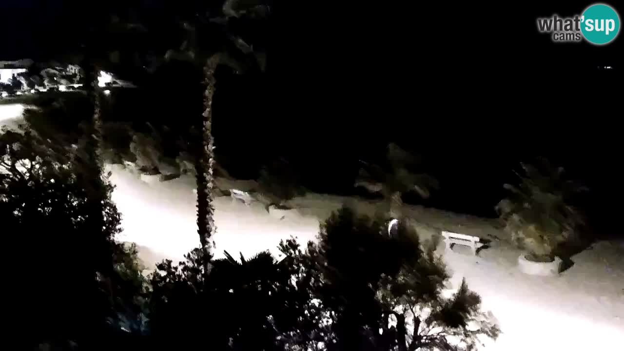 Web kamera Vir – Plaža