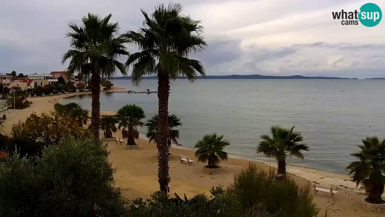 Webcam Vir – Strand