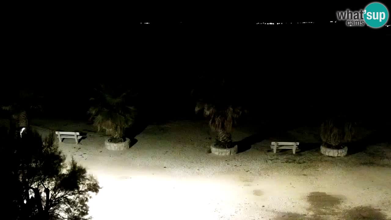 Web kamera Vir – Plaža