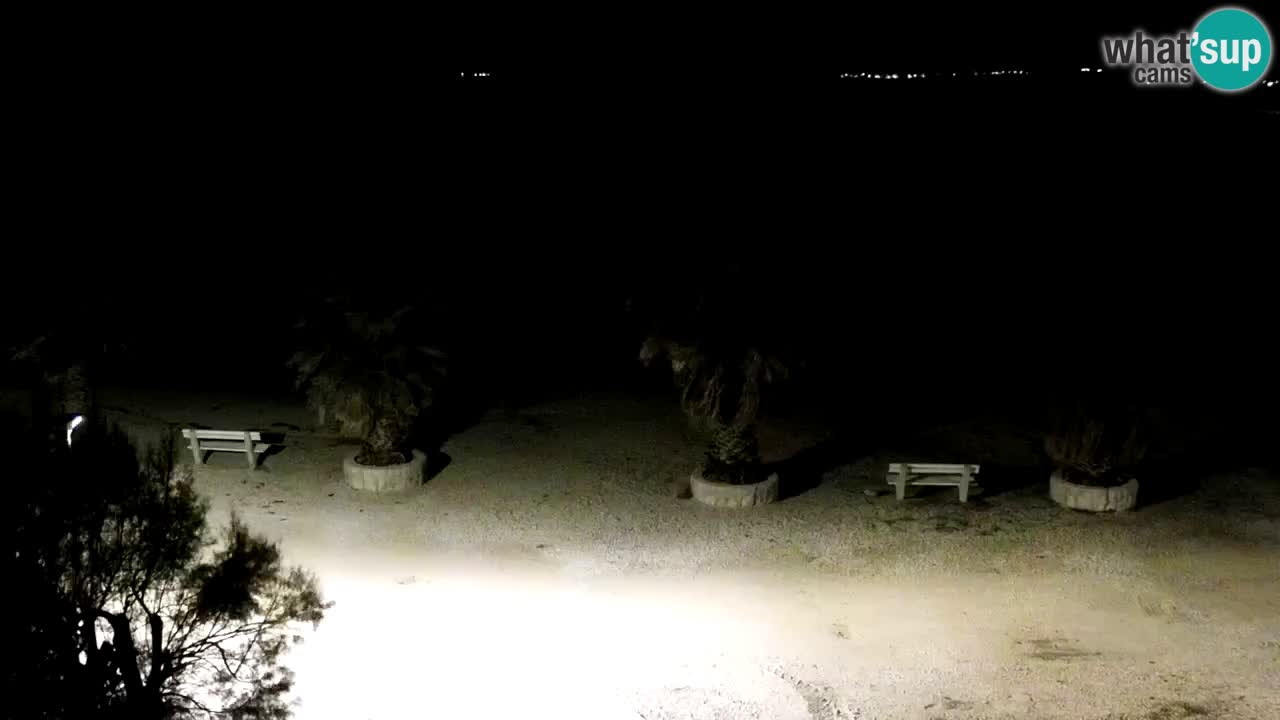 Kamera v živo Vir – Plaža