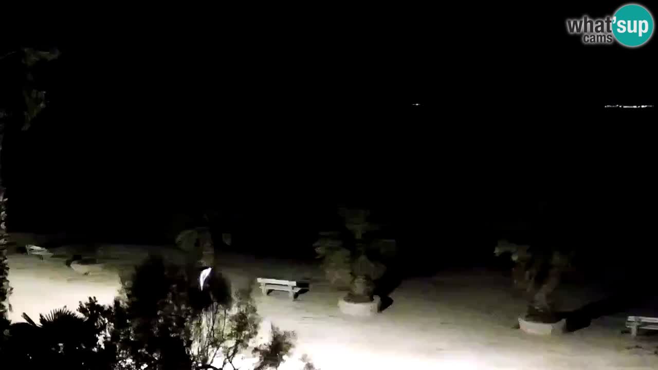 Web kamera Vir – Plaža