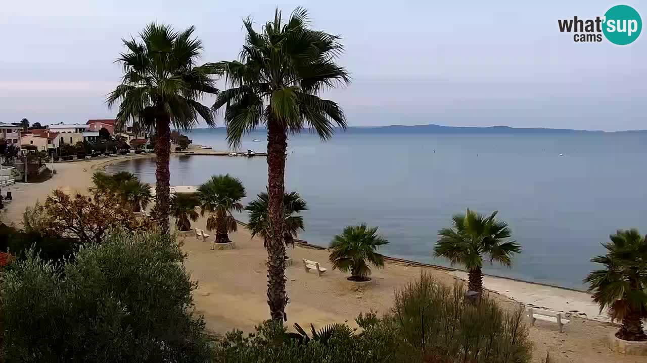 Live cam Vir – Plage