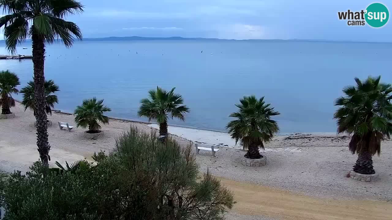 Webcam Vir – Spiaggia