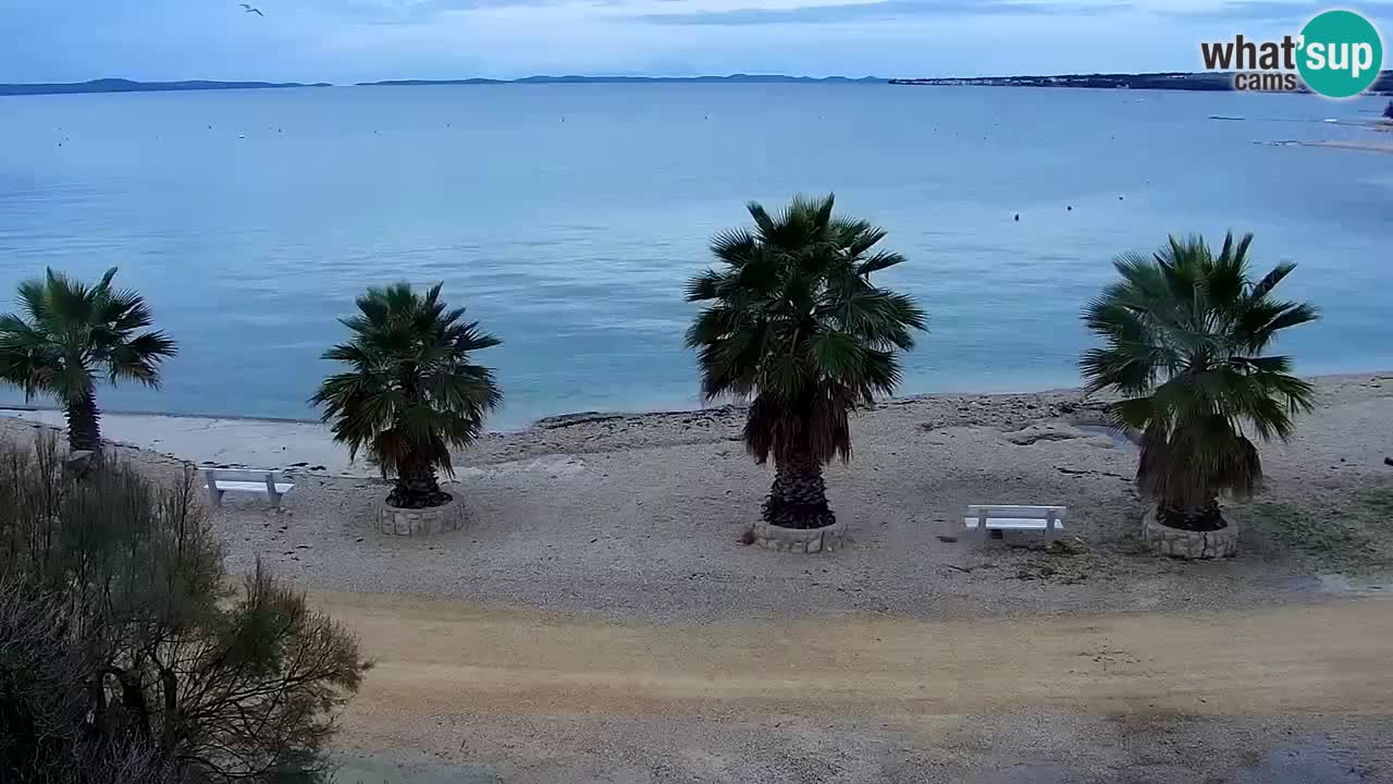 Kamera v živo Vir – Plaža