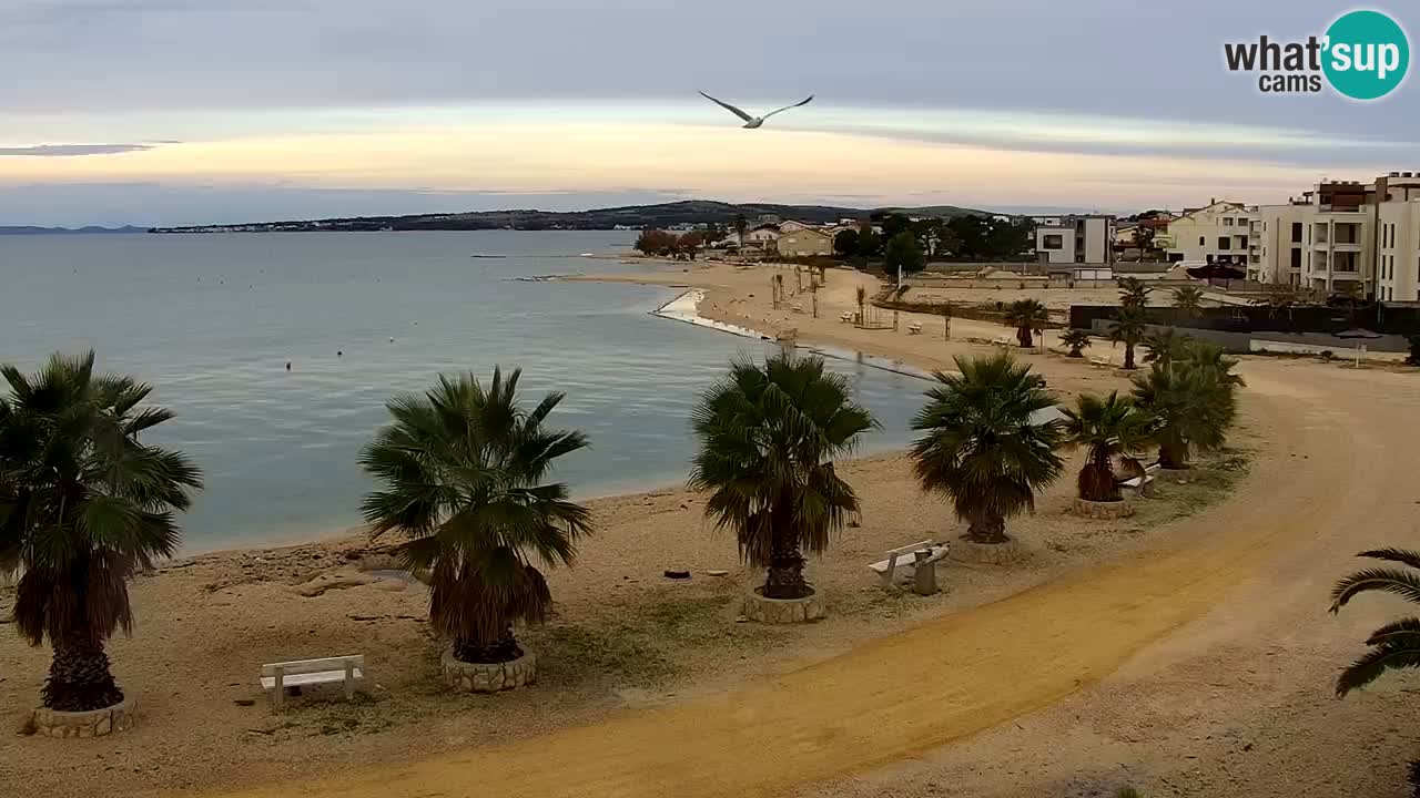 Live cam Vir – Plage