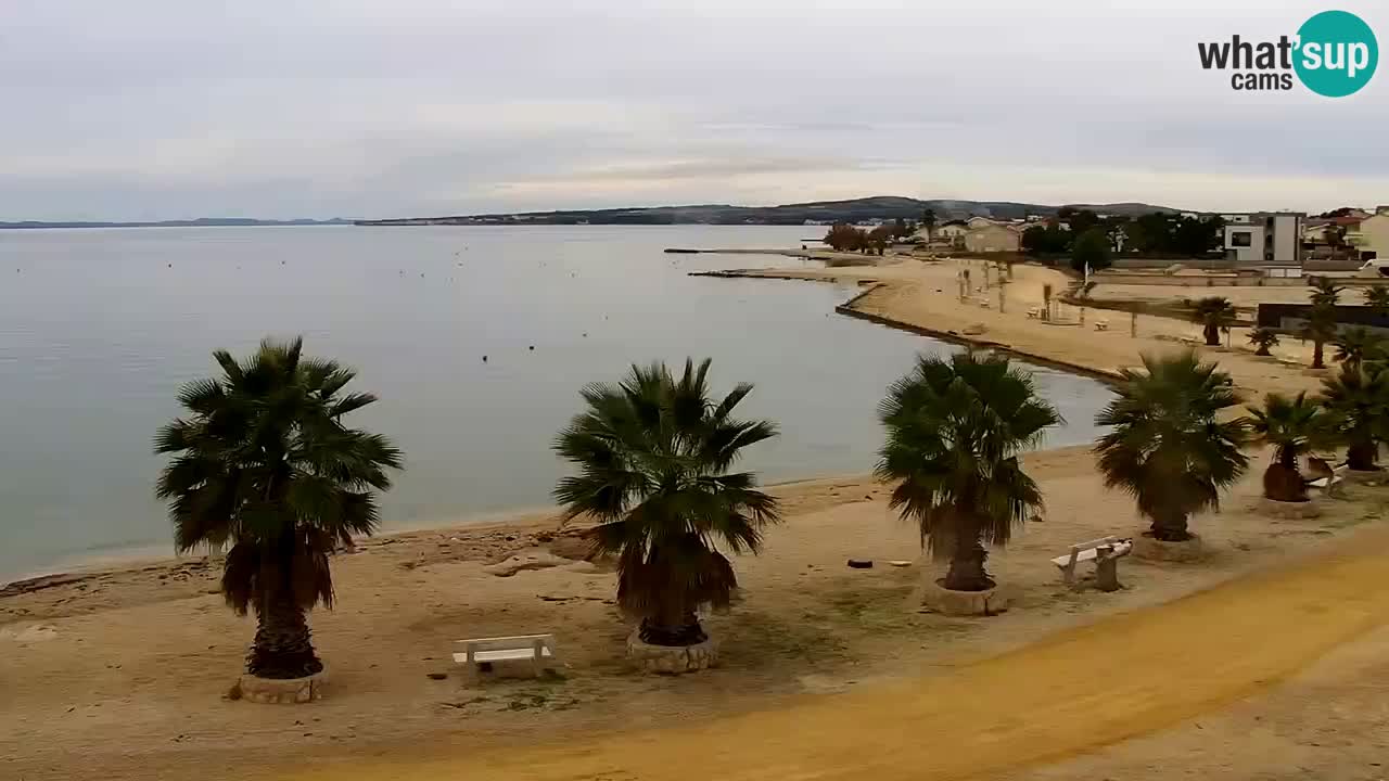 Web kamera Vir – Plaža