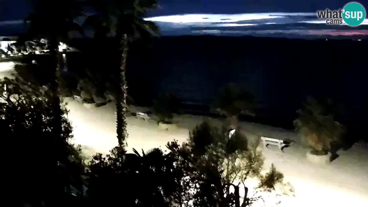 Live cam Vir – Plage