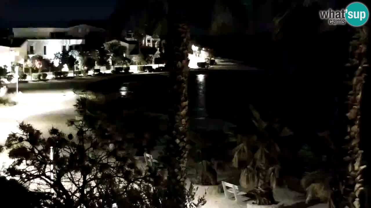 Live cam Vir – Plage