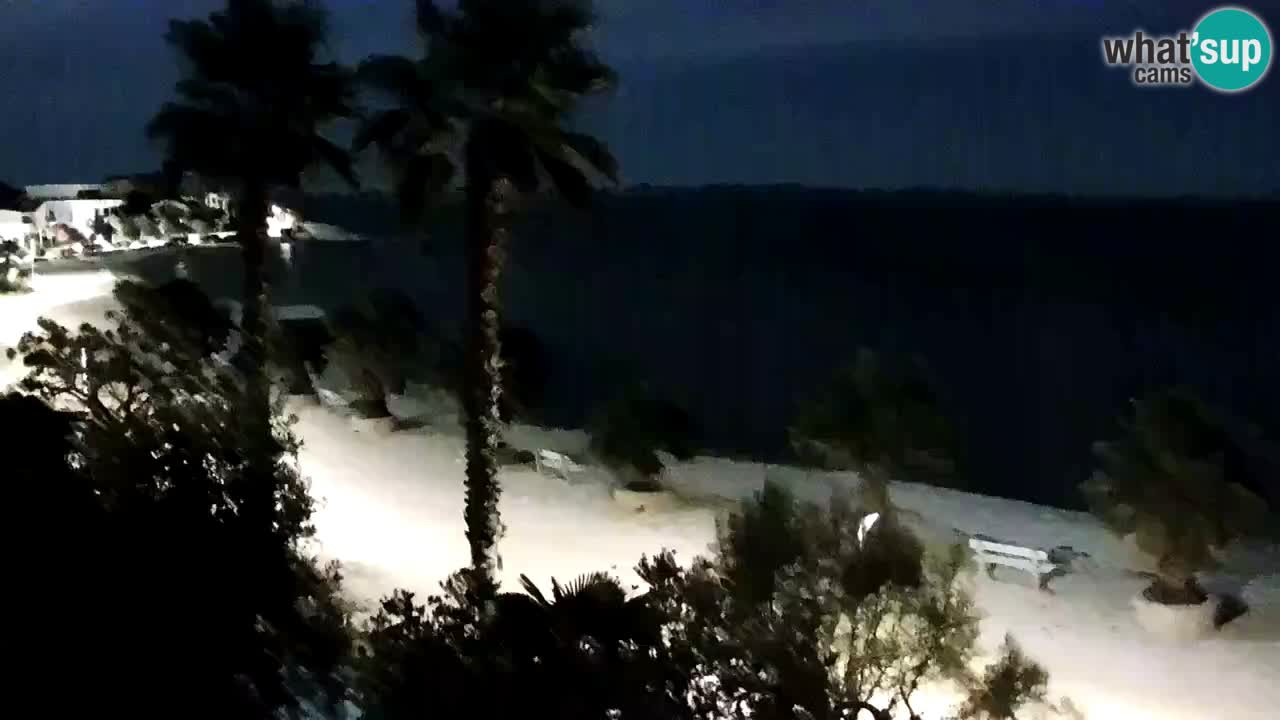 Web kamera Vir – Plaža