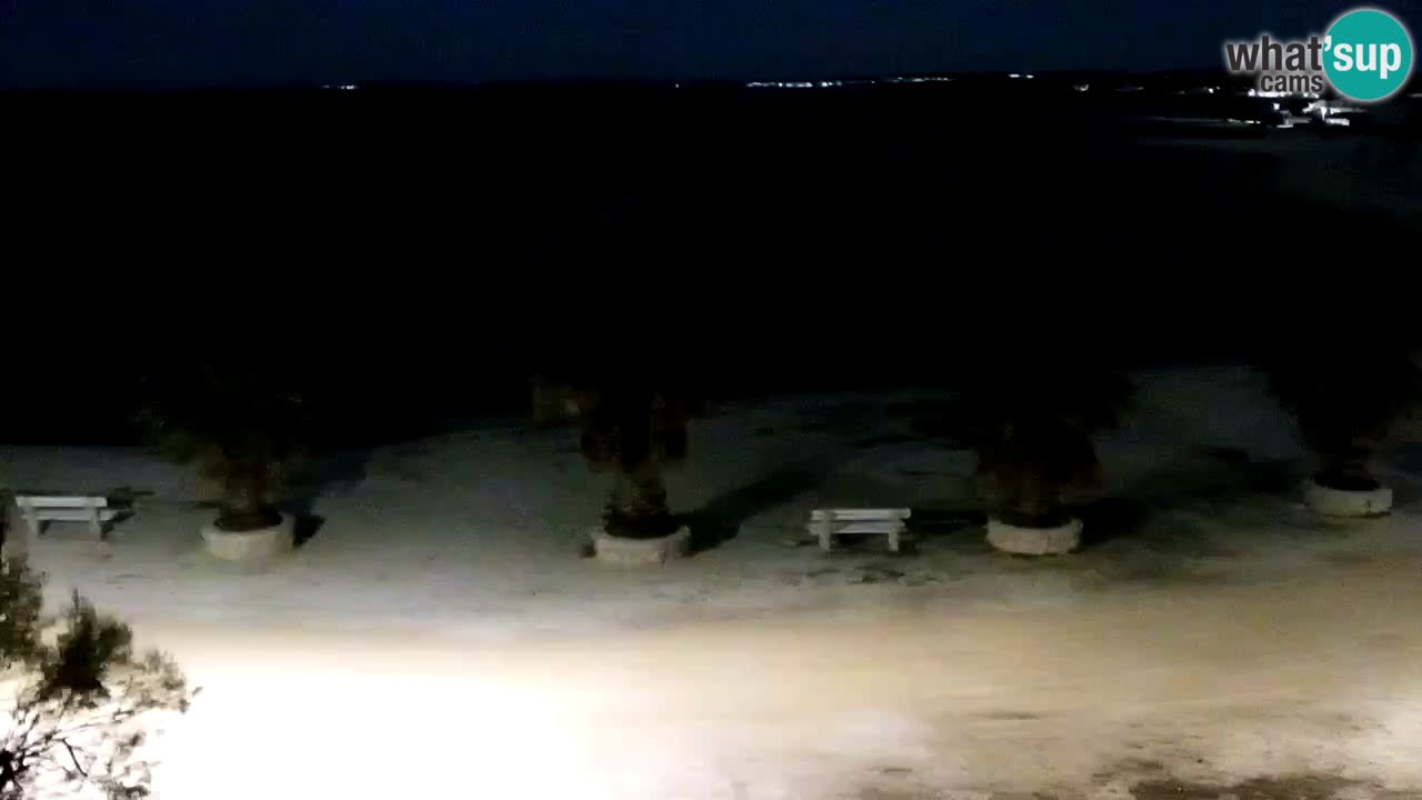 Webcam Vir – Strand