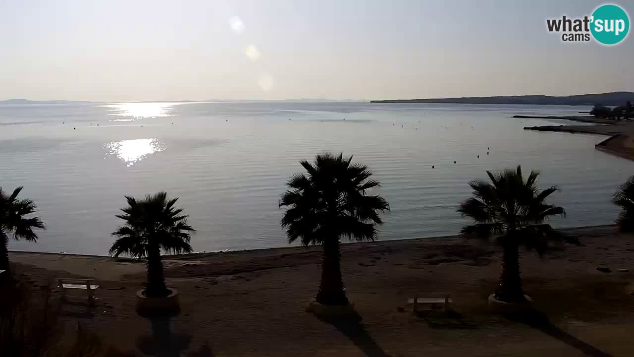 Live cam Vir – Plage