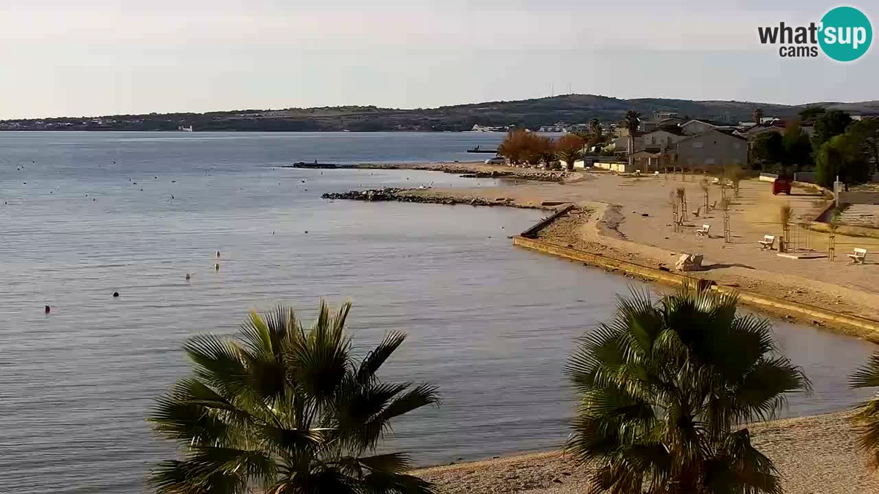 Webcam Vir – Strand