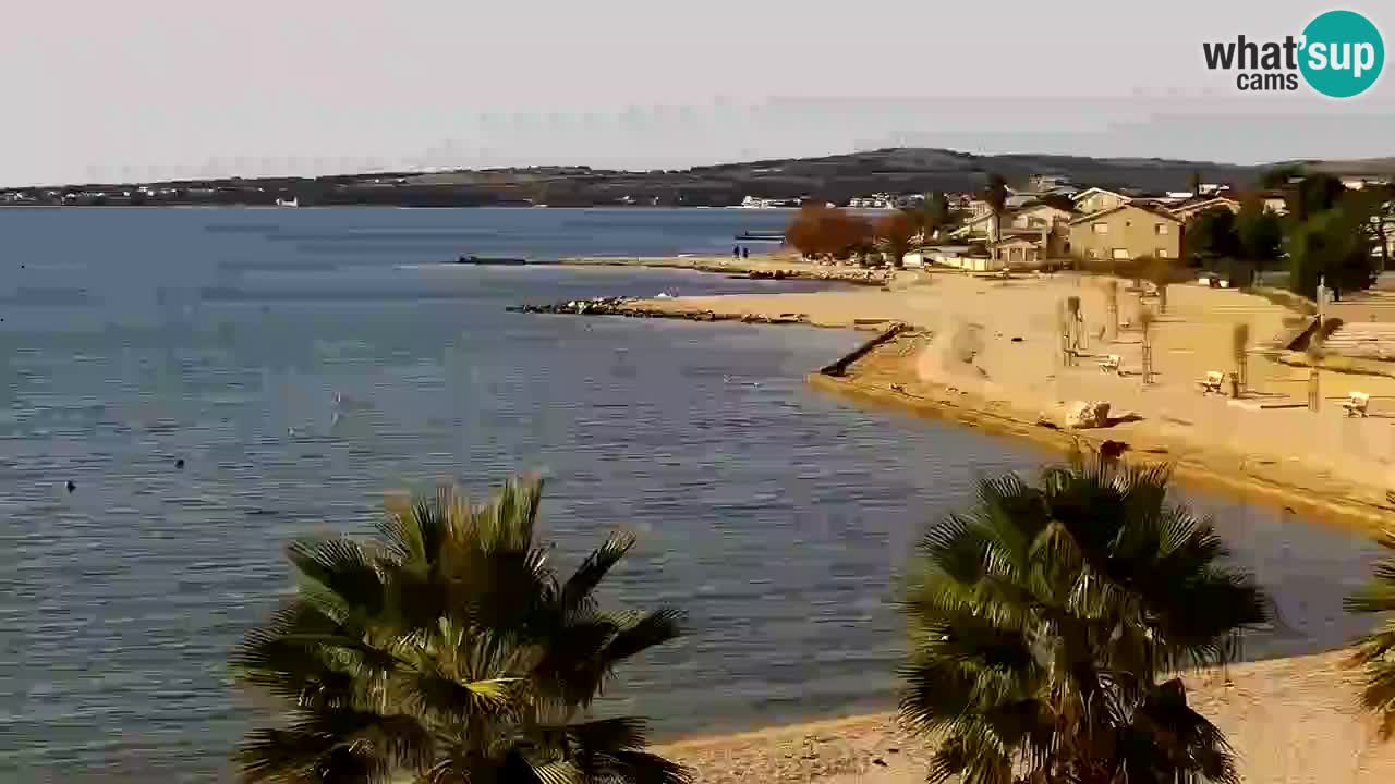 Kamera v živo Vir – Plaža