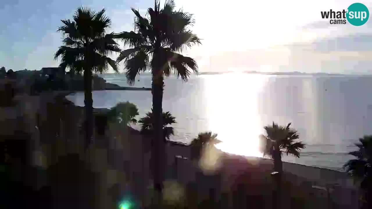 Live cam Vir – Plage