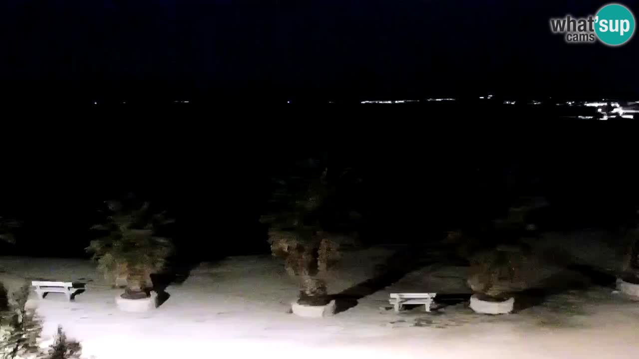 Live cam Vir – Plage