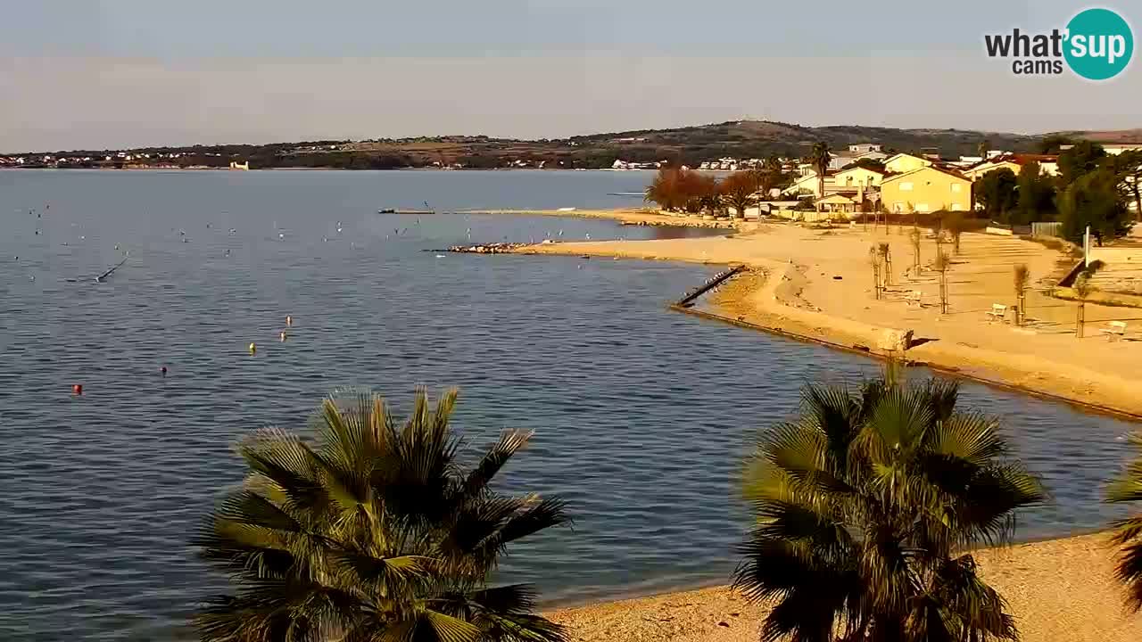 Live cam Vir – Plage