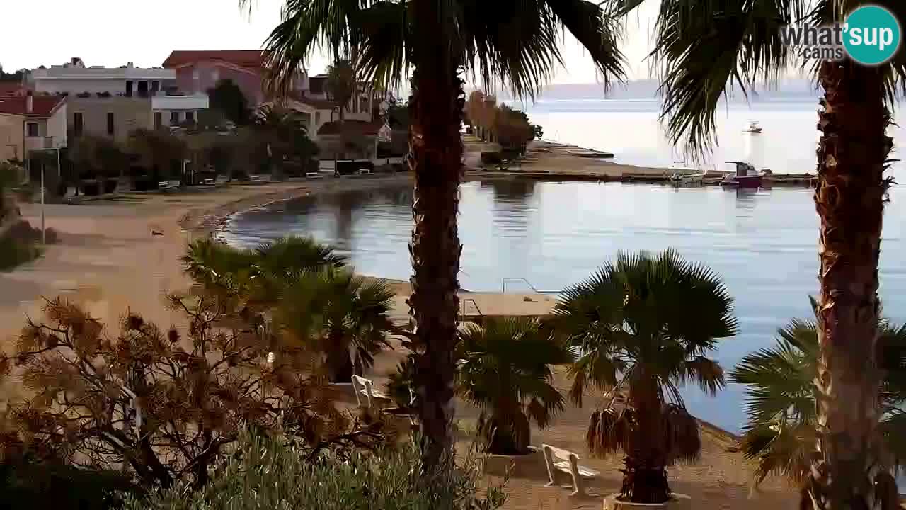 Live cam Vir – Plage